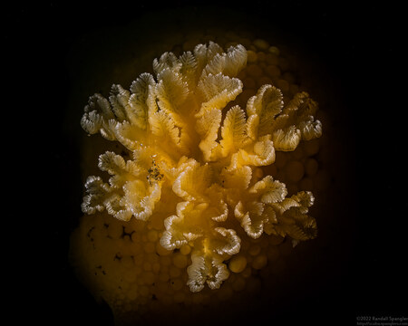 Album cover photo for Monterey State Beach - August 2022