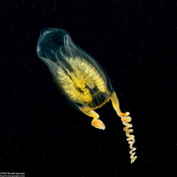 Album cover photo for San Carlos Beach - September 2022