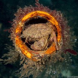 Album cover photo for Monterey State Beach - March 2023