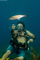 Scomberomorus regalis (Cero)