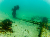 The anchor at San Carlos Beach